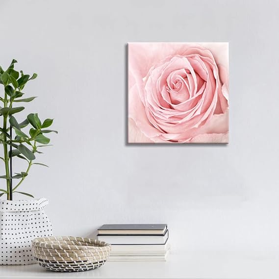 Amazon.com: Pink Rose Close Up Canvas Wall Art Blush Pink Office Room ...