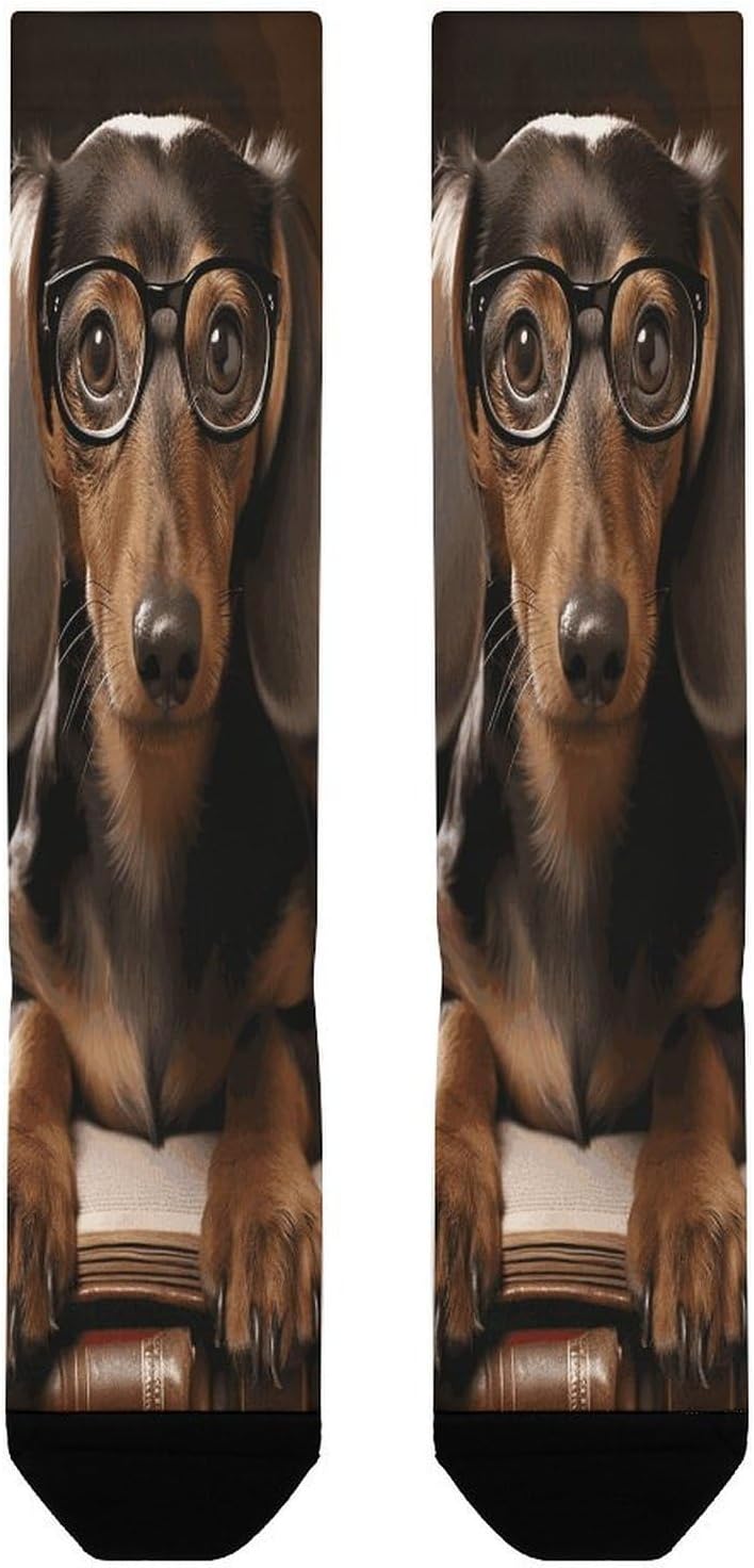 Dachshund Book Compression Sock Breathable Support Socks Lightweight Knee High Tube Socks for Women Men