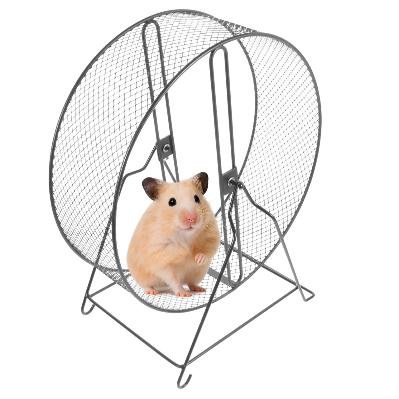 Totority Hamsterlaufrad mit Halterung, Leises Laufrad 37,5 x 32 x 18,5 cm | Großes Rennrad für Hamster Goldhamster Igel Eichhörnchen, Schraubbefestigung für Käfig, Nachtlauf Spielzeug