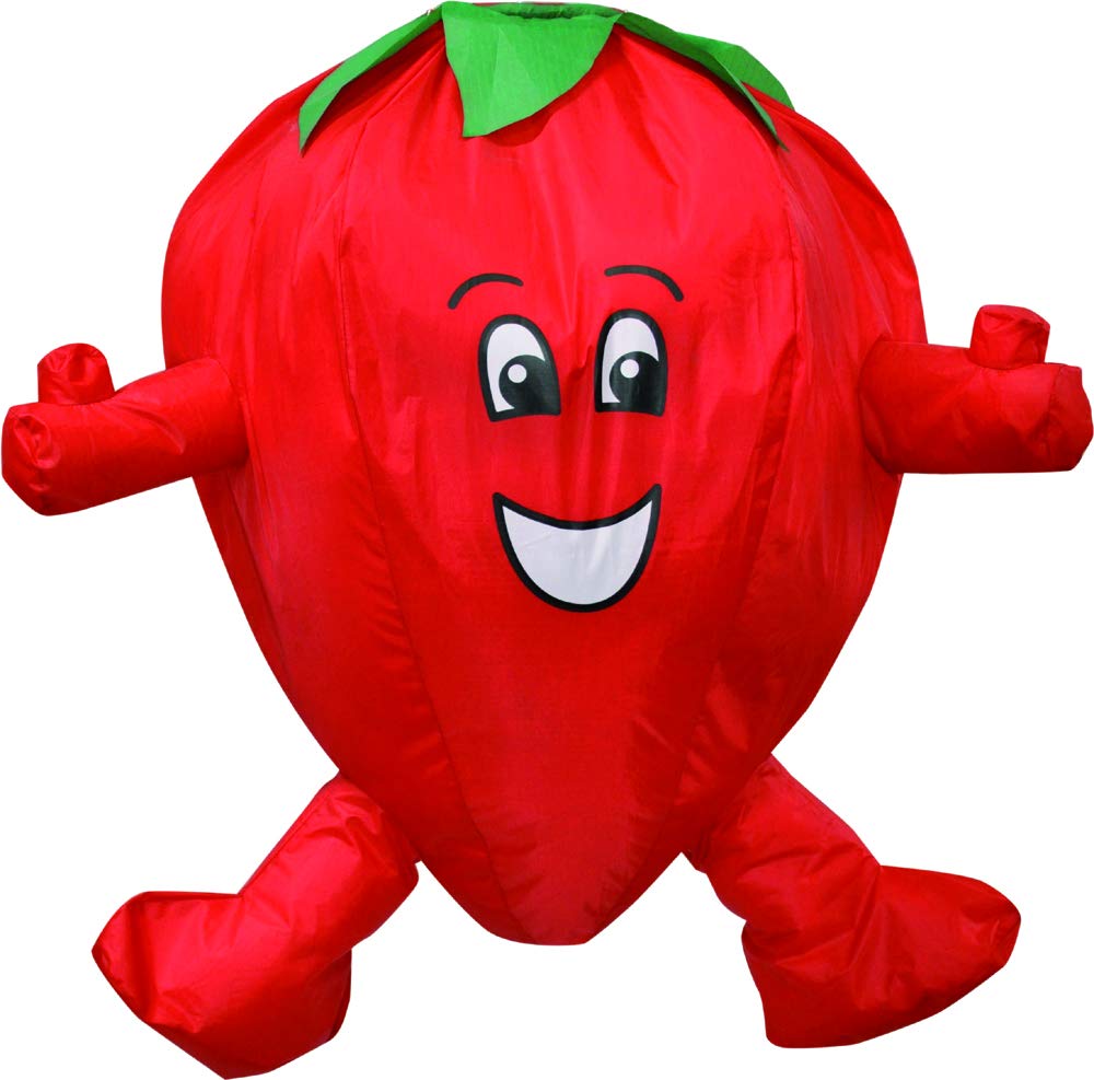 Spirit of Air Strawberry Fruit and Veg Windsock