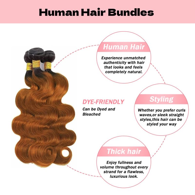 T1B/30 Ombre Brown 3 Bundles Human Body Wave Hair 22 24 26 Inch Body Wave Human Hair Brown Bundle 12A Brazilian Virgin Hair Quick Weave for Women T1B/30 Color T1B/30 Color-BW 22--24--26 Inch