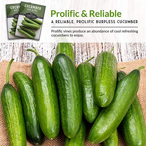 Survival Garden Seeds - Beit Alpha Cucumber Seed For Planting - Pack With Instructions To Plant And Grow Smooth Green Burpless Cucumbers In Your Home Vegetable Garden - Non-Gmo Heirloom Variety #TOP6