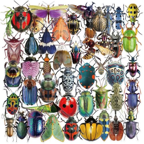 50 calcomanías de insectos para álbumes de recortes, paquete de calcomanías realistas de insectos y escarabajos, calcomanías de vinilo transparentes impermeables para laptop, funda de teléfono