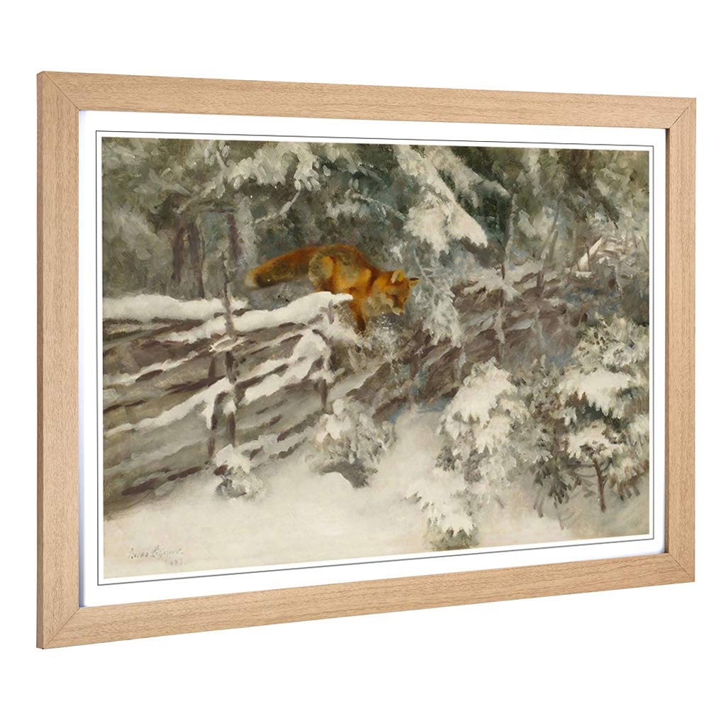 Big Box Art Framed Print of Bruno Liljefors Fox in The Snow Design | Wall Art Picture | Home Decor for Kitchen, Living Room, Bedroom, Hallway, Oak, A2 / 24.5x18 Inch / 62x45cm