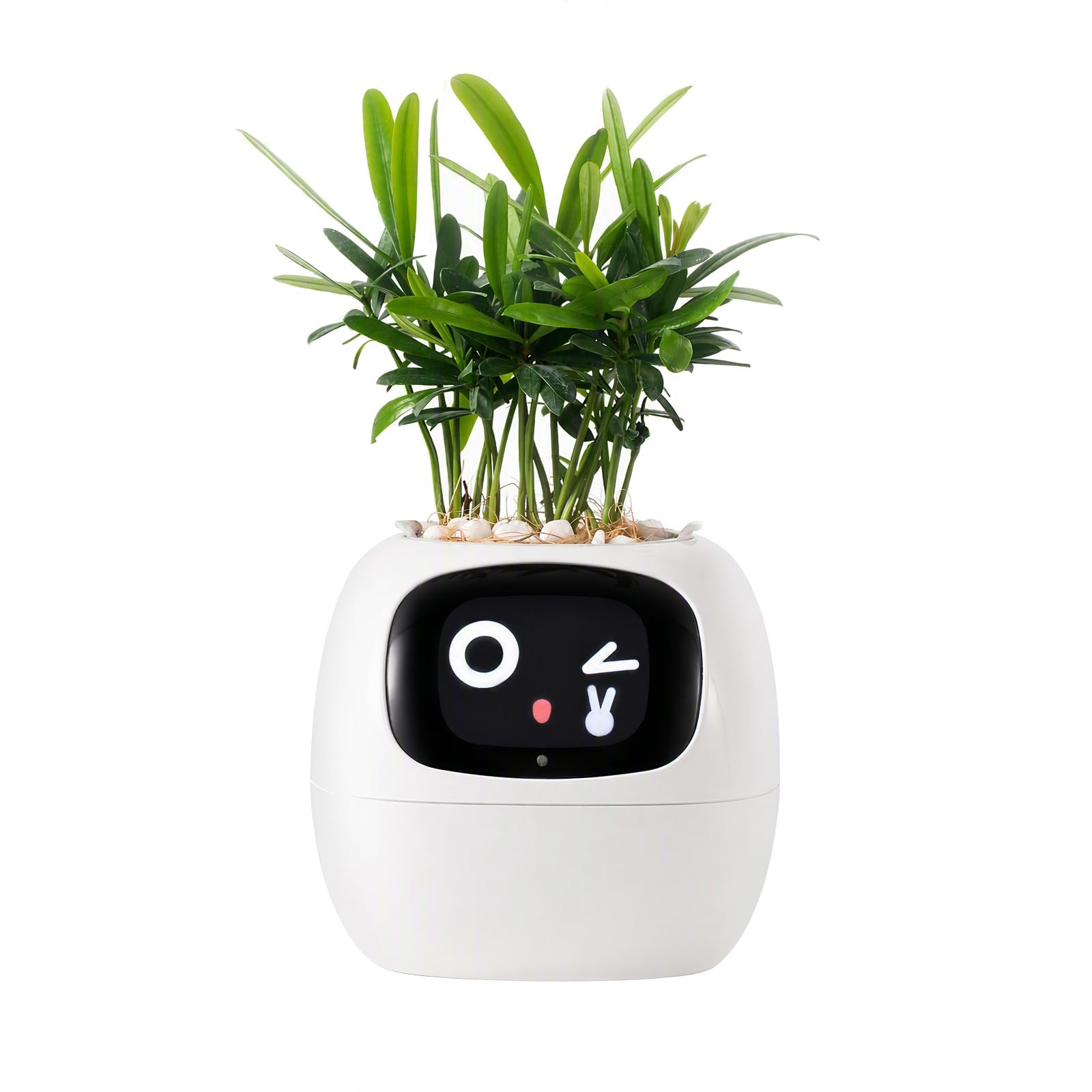 Amazon.co.jp: スマート植木鉢、スマートペットプランター、AI