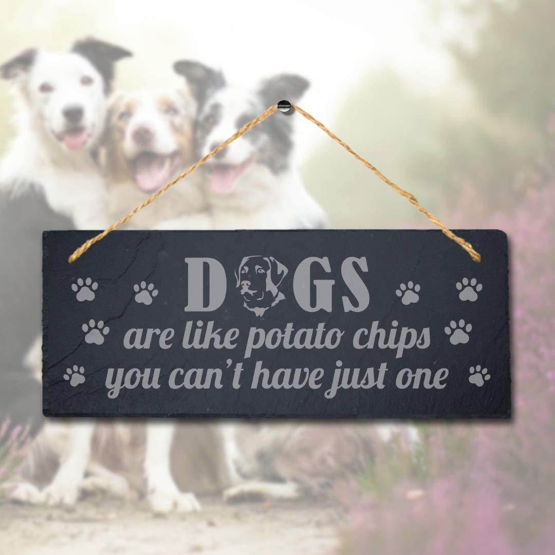 Stukk Crazy Laugh Poop Laser Kitten Puppy Pup Home Pet Sign (Dogs are Like Potato Chips), Natural Engraved Slate Stone Plaque