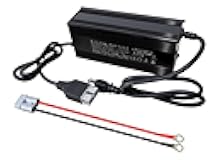 12V Lithium Battery Charger 14.6V 20A LiFePO4 Battery Charger with Anderson Connector, Built-in Safety Protections, Support 0V Charging, AC-DC Smart Charger for 12V Lithium Iron Phosphate Battery