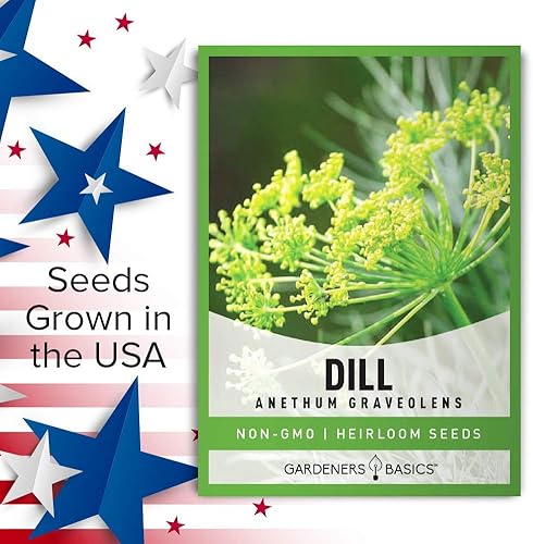 Miniatura 5 de Gardeners Basics Las semillas de eneldo para plantar son una reliquia, variedad de hierbas sin OMG, semillas de hierbas Anethum Graveolens, ideales