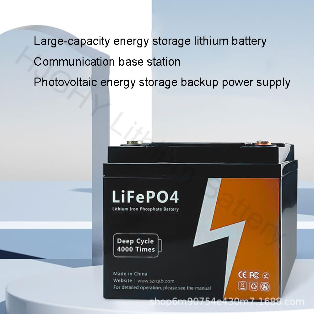 Batteria agli ioni di Litio LiFePO4 25,6 V 100 Ah 200 Ah Batteria al Litio Ferro fosfato per Camper, Nautica, accumulo di energia Domestica