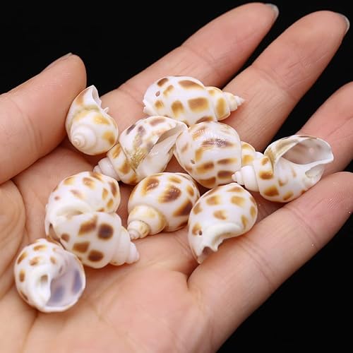 Miniatura 4 de Cuentas de concha natural multicolor para hacer manualidades, pecera, acuario, decoración del hogar, B0B6PQRLRM