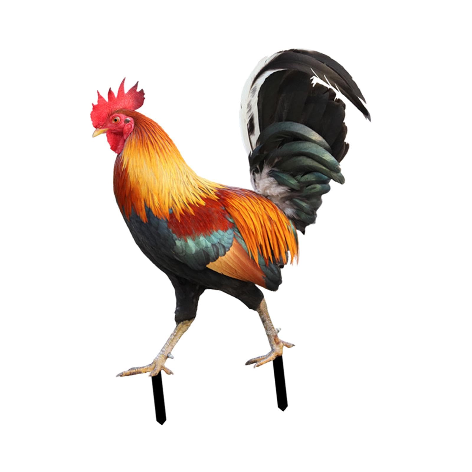 Rooster Statue Garden Stake Metal Realistic Yard Art for Patio Floor Outdoor 21.2x16.7x0.1cm|Home & Garden|Yard, Garden & Outdoor Living|Garden Dacor> Statues & Lawn Ornaments-image-35