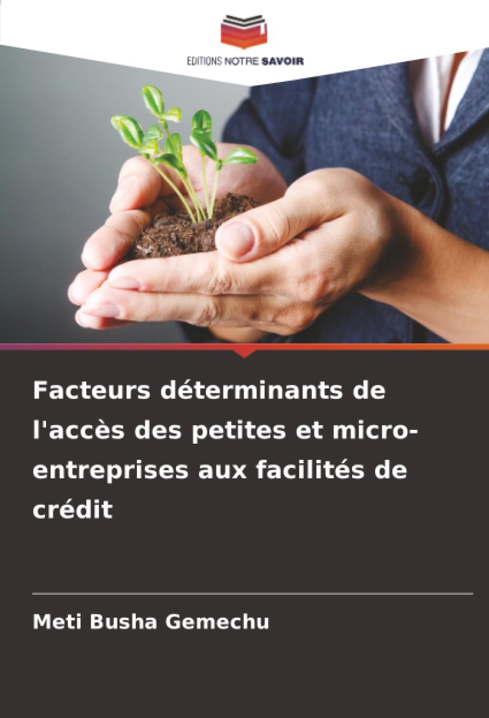 Facteurs déterminants de l'accès des petites et micro-entreprises aux facilités de crédit