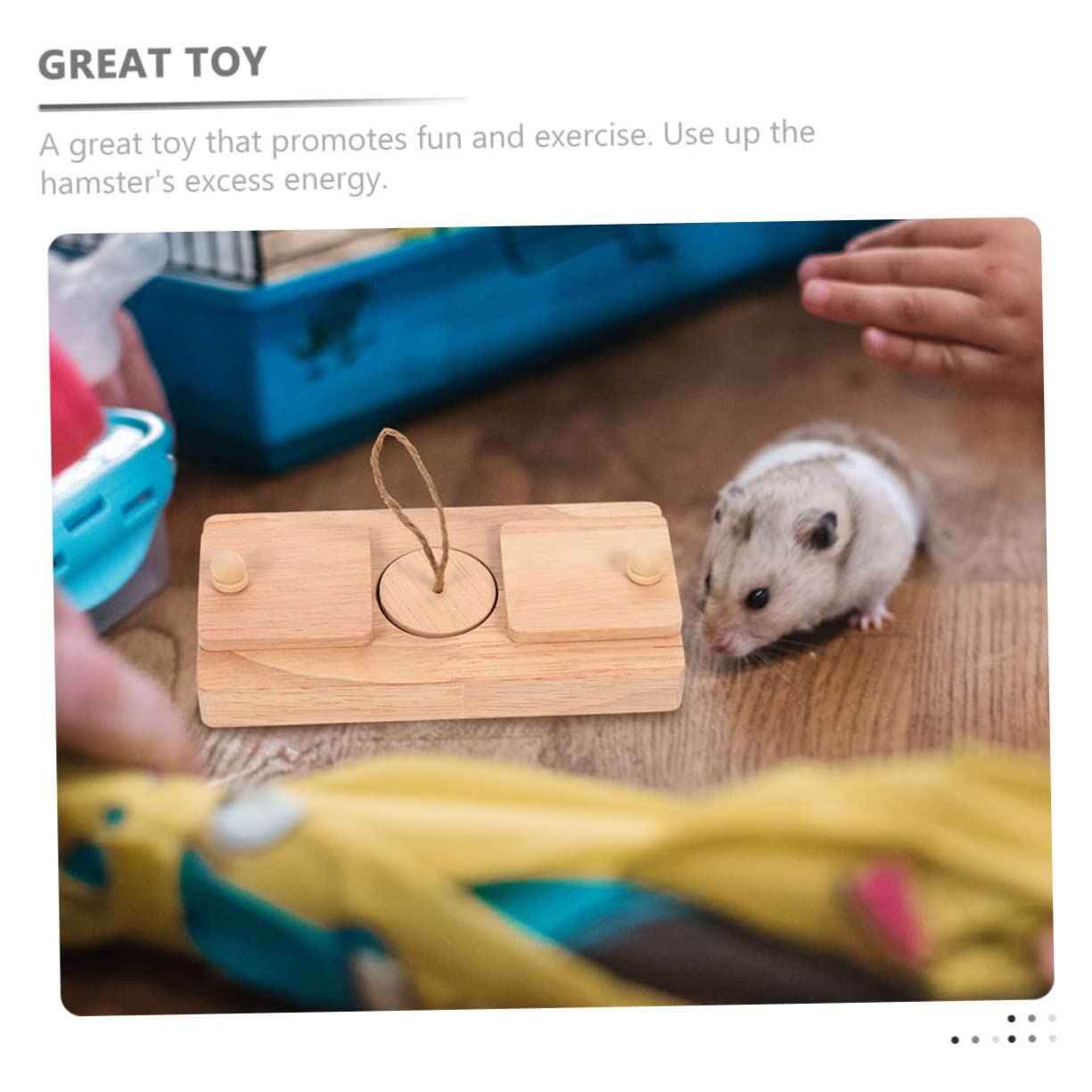 Jouet de Découverte de Nourriture pour Hamster, Lot de 2, Bois