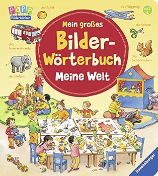 Board book Mein großes Bilder-Wörterbuch: Meine Welt Book