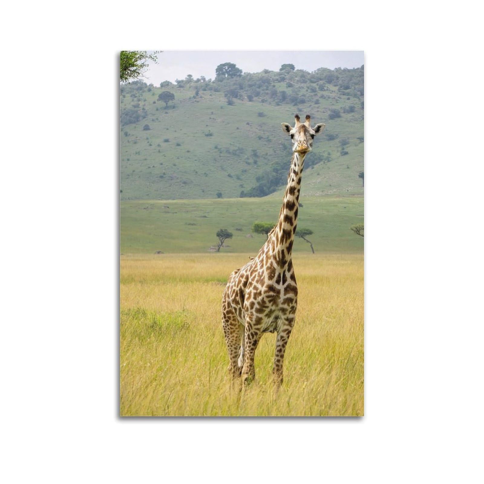 WZKTCL Animal Artwork Poster Giraffe in The Grass Poster Decorative Painting Canvas Wall Posters And Art Picture Print Modern Family Bedroom Decor Posters 24x36inch(60x90cm)