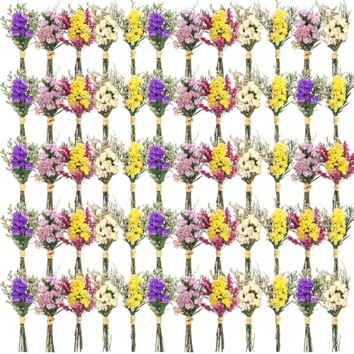 Mini flores secas bouquet olvídame no 60 pcs miniatura 1