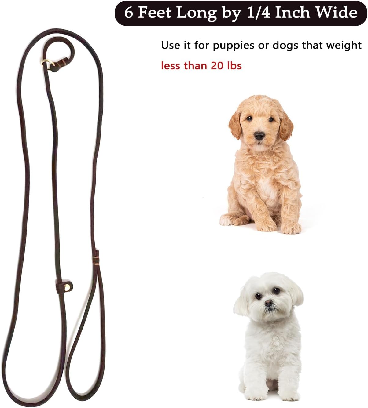 Guiding Star Leather Slip Lead Dog Leash for Small... 13 Guiding Star Leather Slip Lead Dog Leash for Small...