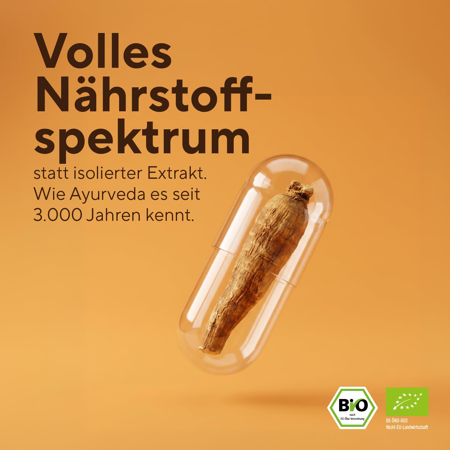 Ashwagandha Bio - 360 Kapseln - Bio Ashwagandha Kapseln hochdosiert - 2600mg - reines Wurzelpulver mit naturbelassenem vollem Nährstoffprofil (nicht extrahiert) - Indische Schlafbeere - TRUE NATURE