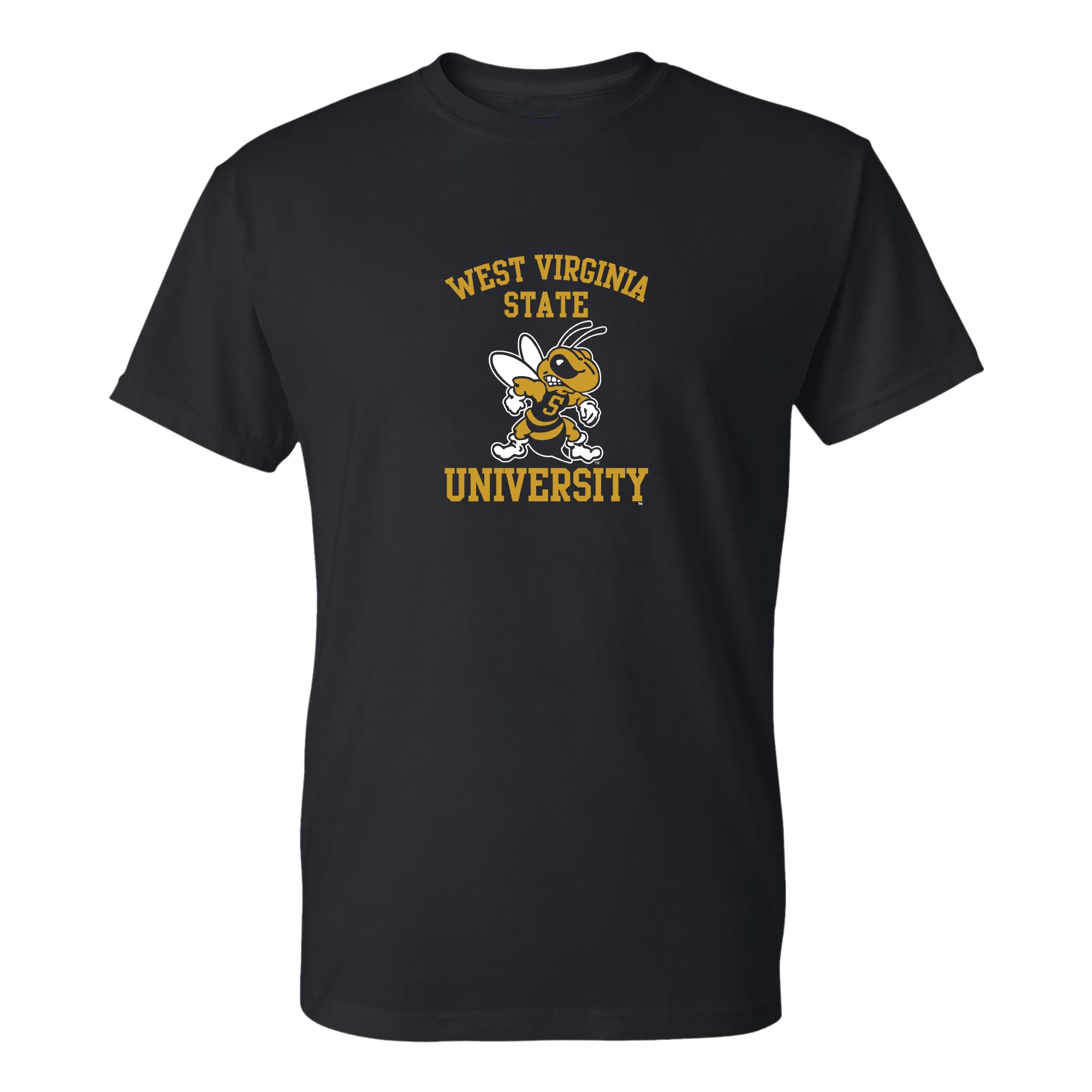 NCAA Arch Logo - NCAA Sports Team Color T Shirt — view 138