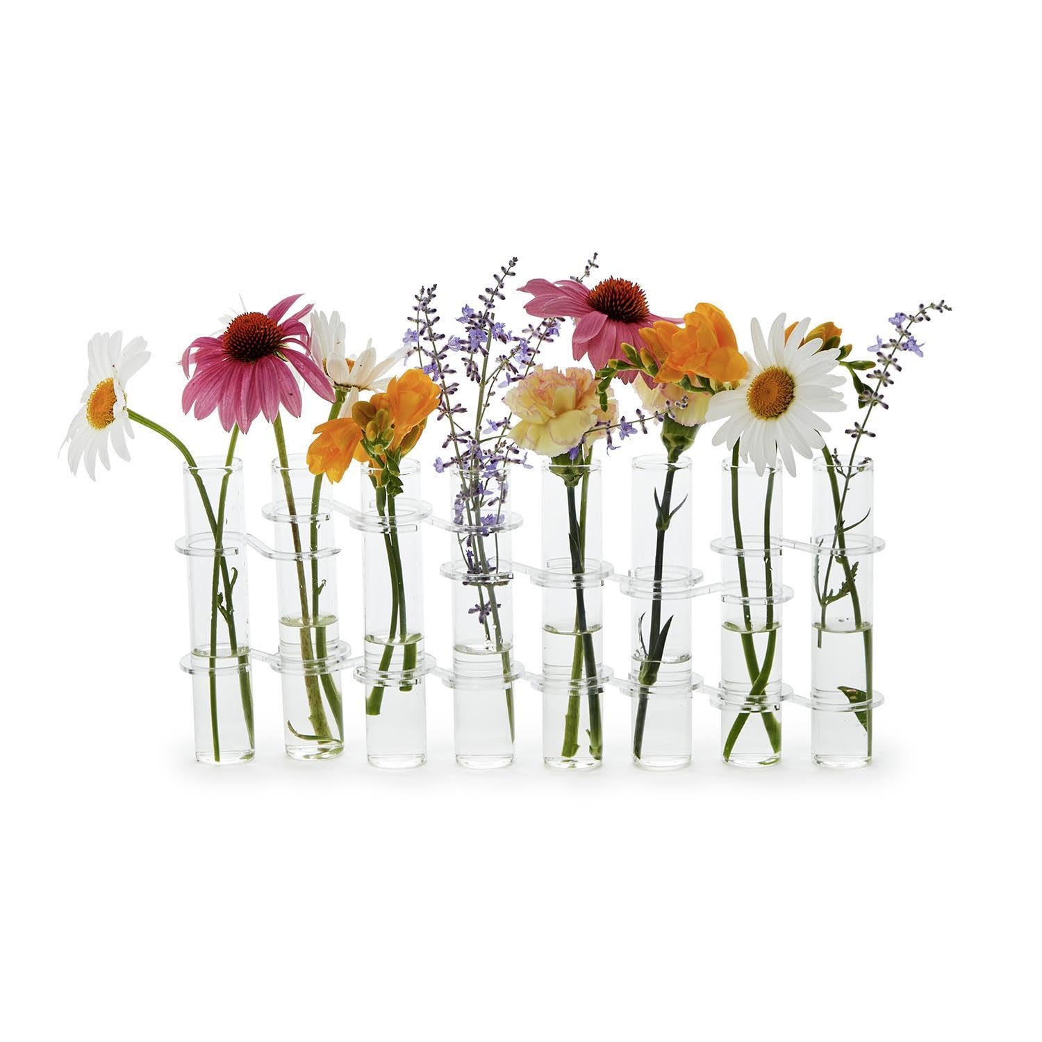 Amazon.com: Two's Company Hinged Tube Flower Vases, 13-Inch, Glass
