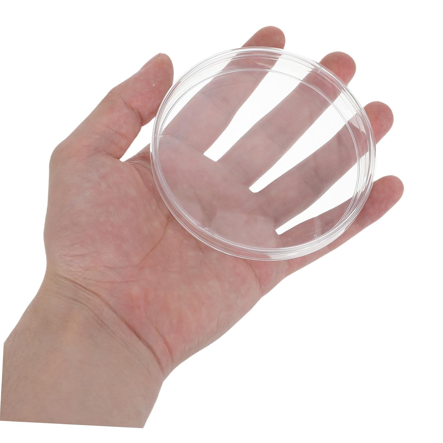 ULTECHNOVO 10 Pcs Disposable Plastic Petri Dishes with Lids for Lab Experiment and Cell Culture, Observation Laboratory Culture Dishes Suitable for Large Scale Research and Scientific