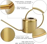 Remiawy Watering Can Indoor Outdoor Stainless Steel Watering Cans for House Plants Long Spout Water Can for Succulent Bonsai Garden Flower(40oz/1300ml)