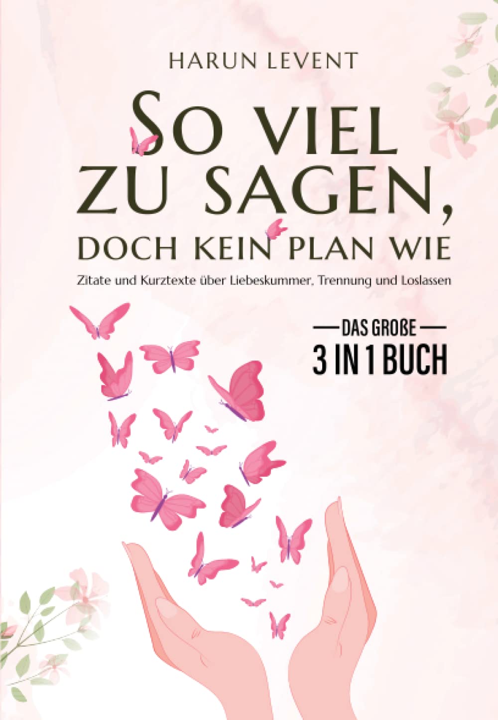 So viel zu sagen, doch kein Plan wie Das große 3 in 1 Buch Zitate und Kurztexte über