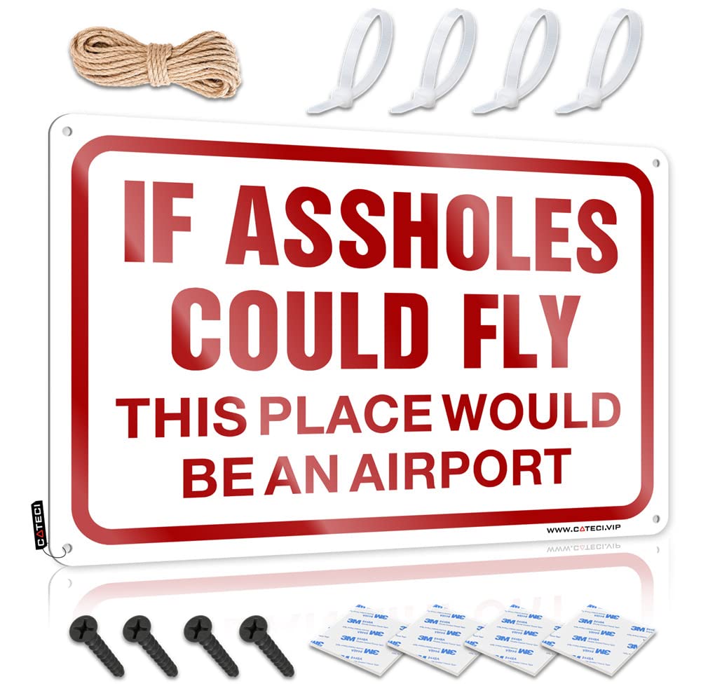 HELIOFORGE Boys Bedroom Accessories If Assholes Could Fly This Place Would Be An Airport Sign Bro Cave Sign In Home Bar Signs(30X40CM)