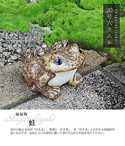 Amazon.co.jp: 信楽焼 20号五匹子付き蛙【ka-0074】 縁起物 カエル お
