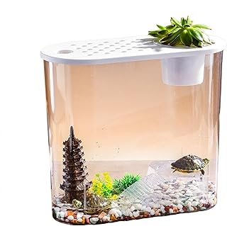 Transparente Mikro Landschaft Ökologische Fischs Child kröte Tank Hydro ponik Aquaponic Planter Zucht Box Aquarien Tisch Dekoration