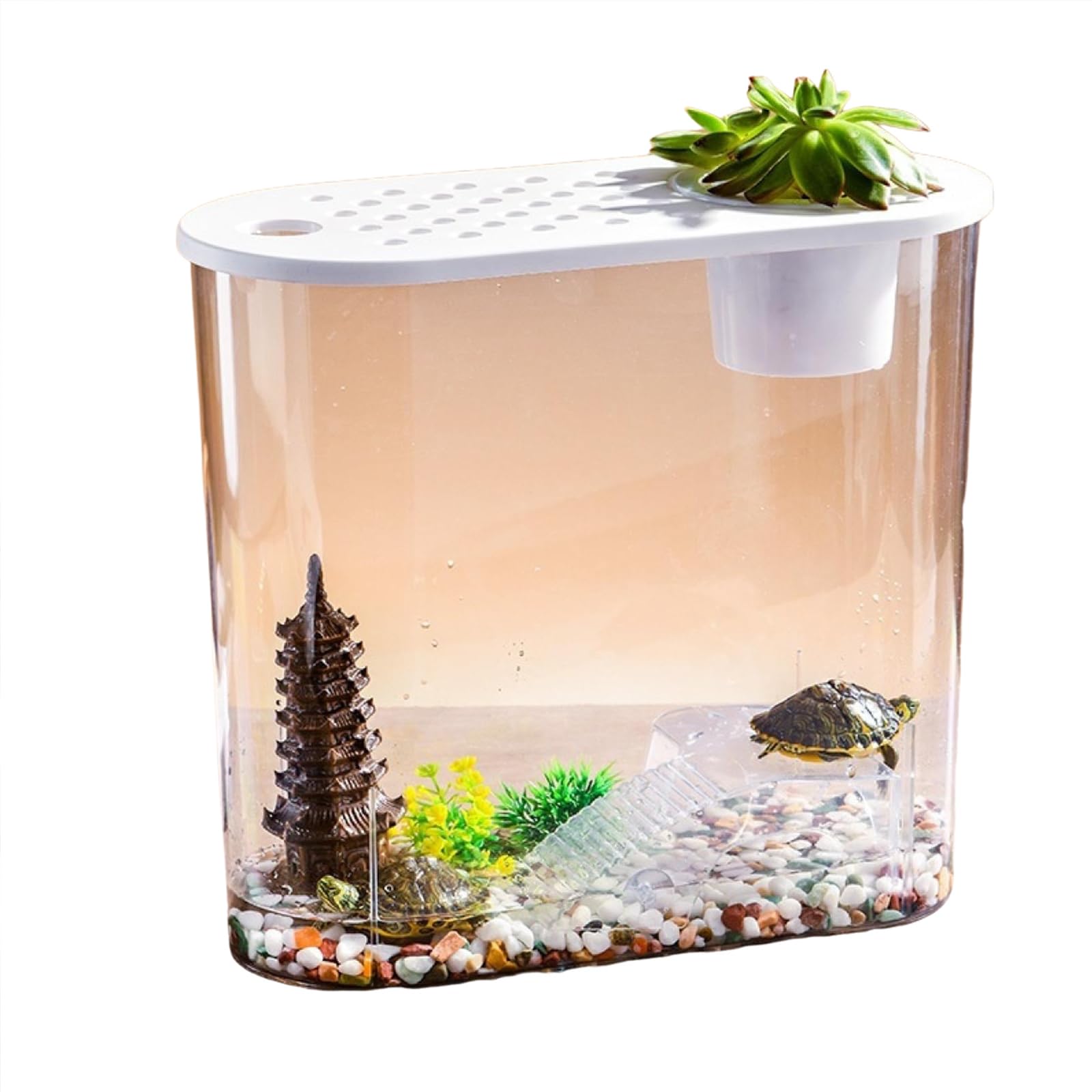 Pot de fleurs aquaponique transparent pour aquarium et tortue - Décoration de table