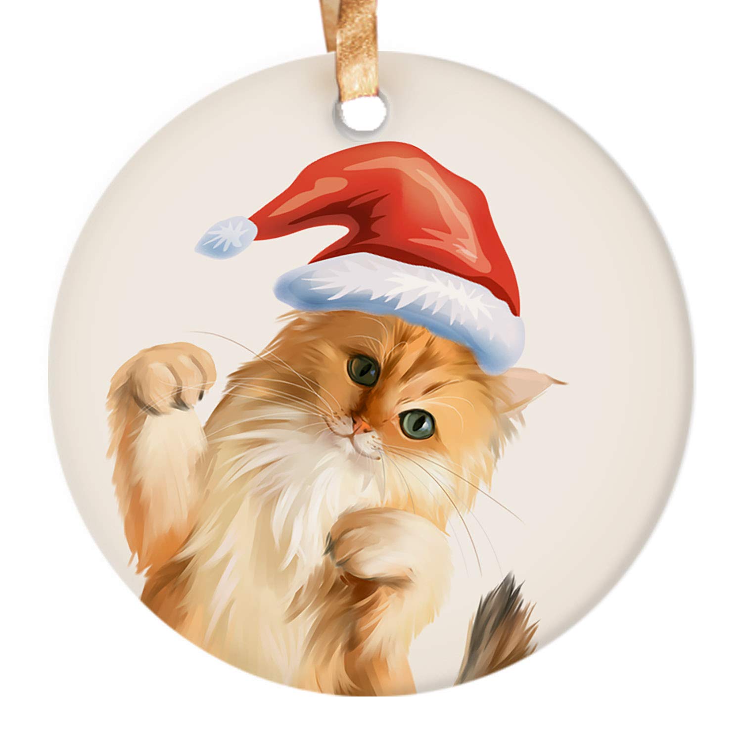 DadidycCat in Christmas Santa hat Funny Christmas Ornaments 3" Round Ceramic Ornament with Gift Box Xmas Present