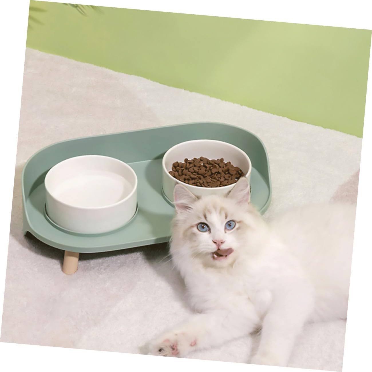 Katzenschälchen aus Keramik Doppelnapf für Katzen Grün Wasserundurchlässig Hitzebeständig für Bequemes Fressen