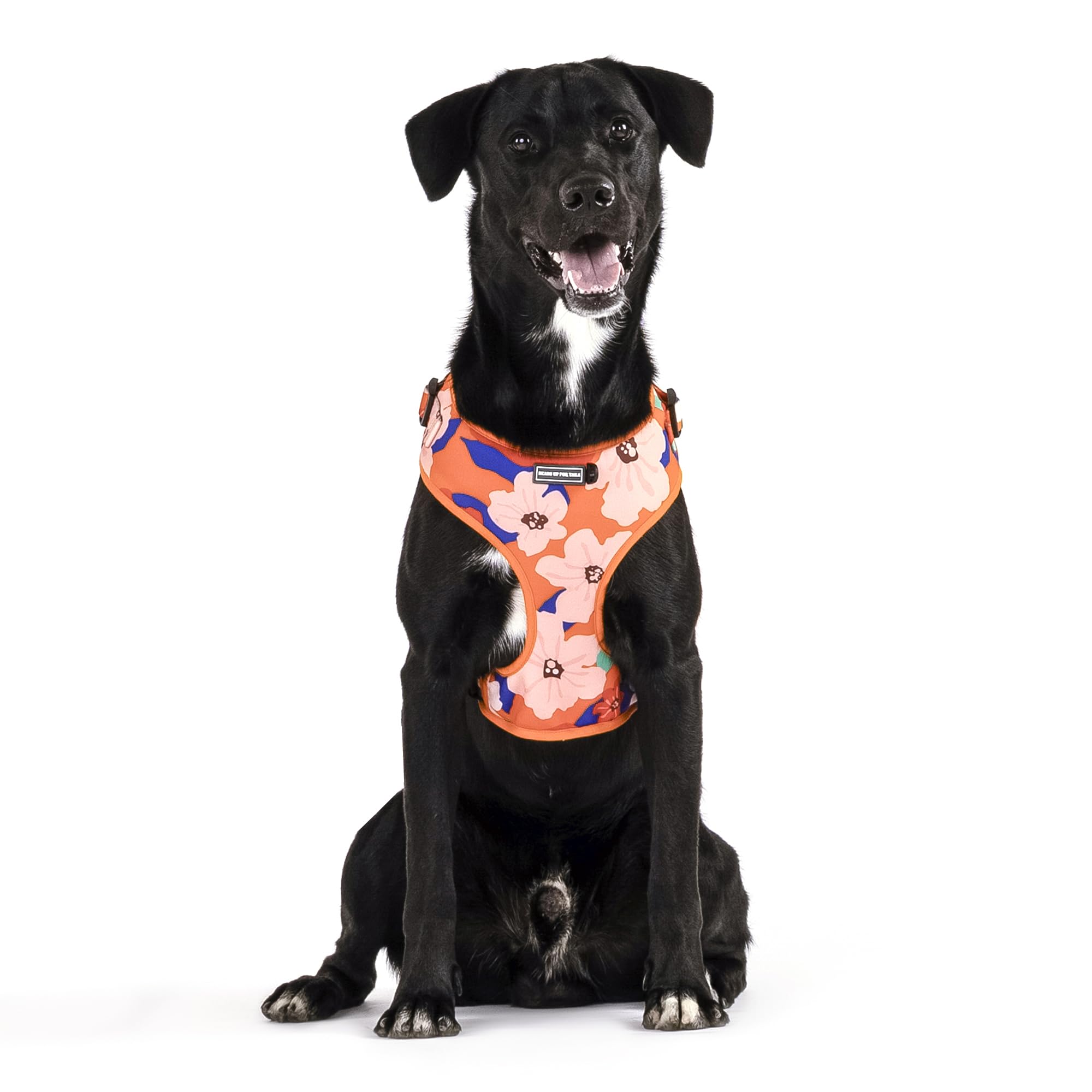 HUFT Petal Play Adjustable Dog Harness - Orange - S (B0CNPW4RLY) Amazon Price History, Amazon Price Tracker