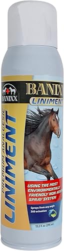 BANIXX Linimento prémium