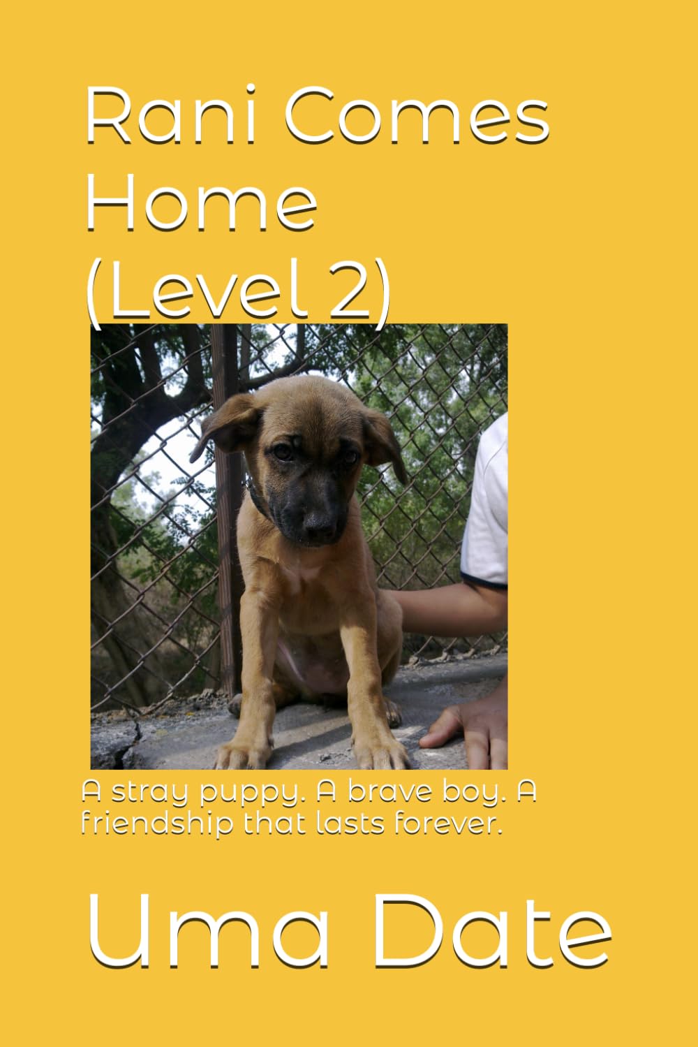 Rani Comes Home (Level 2): A stray puppy. A brave boy. A friendship that lasts forever. ('Adventures of Rani and Zoe')