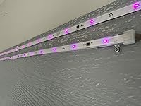 Review Image by William William