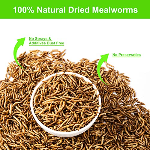 Ranz 2Lbs 100% Non-Gmo Dried Mealworms, High Protein Mealworms For Chickens, Wild Birds, Ducks, Lizard, Hamster, Hedgehog, Reptile&Amphibian. #TOP2