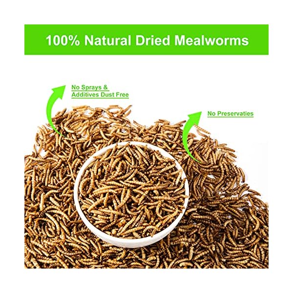 RANZ 10LBS NonGMO Dried Mealworms for Chickens, High Protein Meal