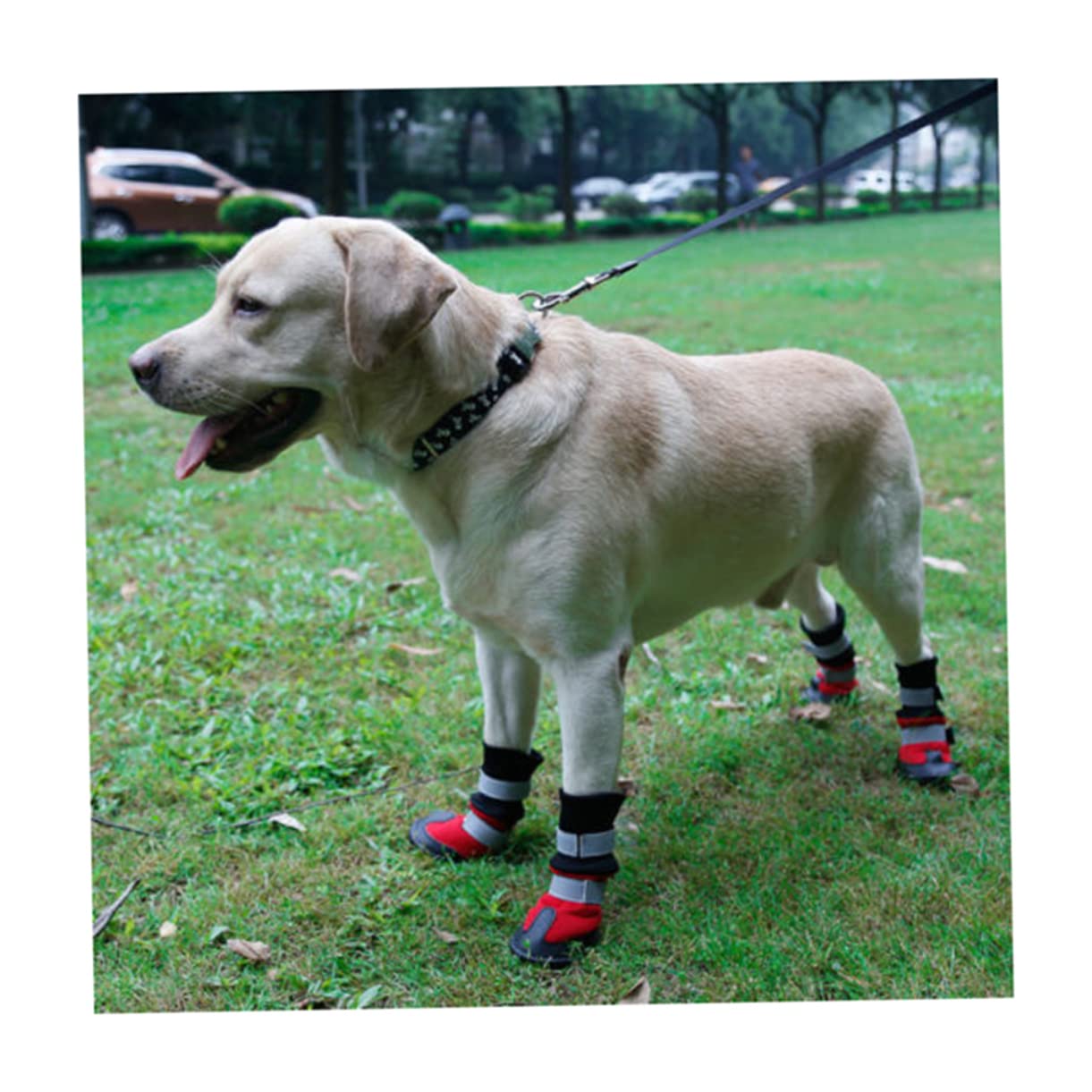 Toddmomy Neige pour Chien Chaussures De Protection pour Animaux Bottines Imperméables pour Promenades Extérieures