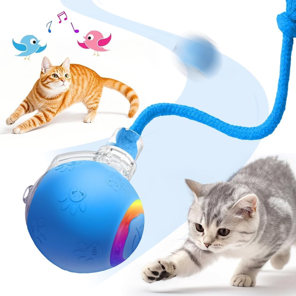 Juguetes interactivos para gatos, juguete multifuncional para gatos para uso doméstico, recargable para propietarios de mascotas, juguete portátil para gatos (rojo, azul y gris)