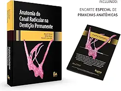 ANATOMIA DO CANAL RADICULAR NA DENTIÇÃO PERMANENTE