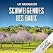 Schweigendes Les Baux. Ein Provence-Krimi: Capitaine Roger Blanc 8