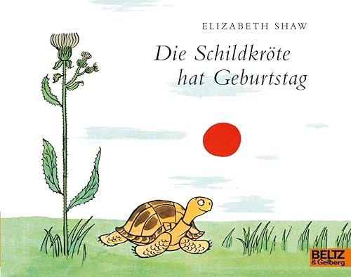Die Schildkröte hat Geburtstag: Vierfarbiges Bilderbuch (MINIMAX)