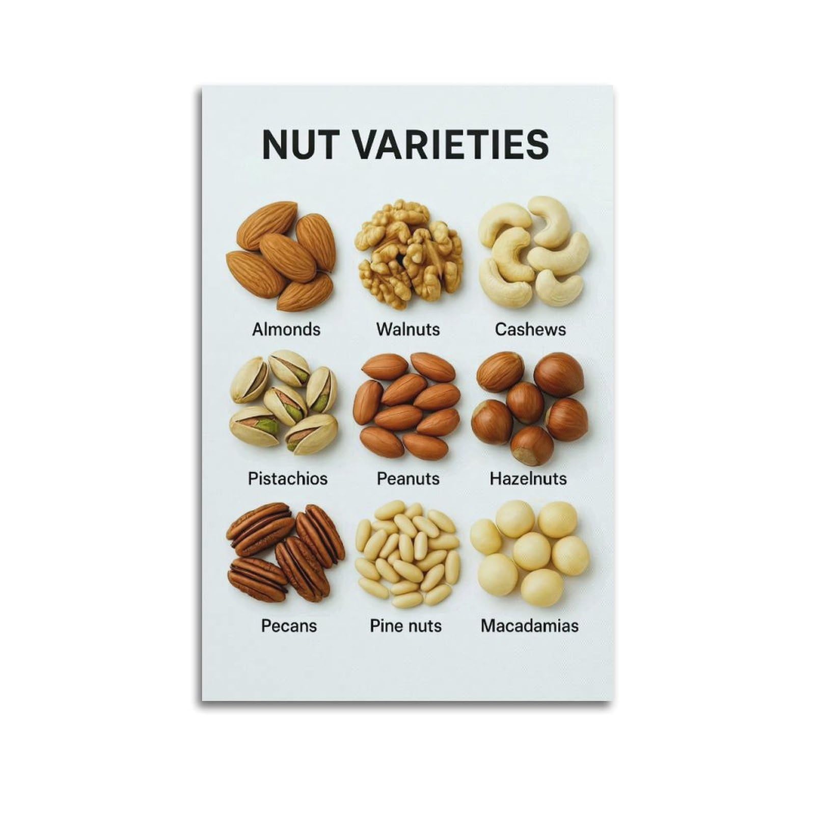 XKUGA Kids' Science Nuts Types Guide Poster Modern Decorative Canvas Prints - Ideal Wall Art for Family, Man Cave, Game Room, Boys & Girls Bedroom 20x30inch(50x75cm)