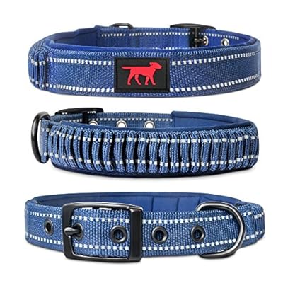 indestructible dog collar