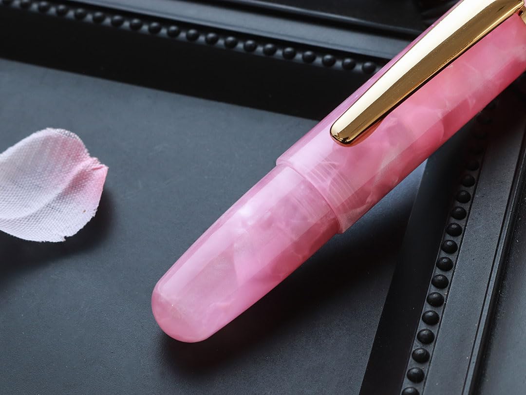 Amazon | WANCHER 1×one×wan PuChiCo (EF, ピオニーピンク) | 万年筆