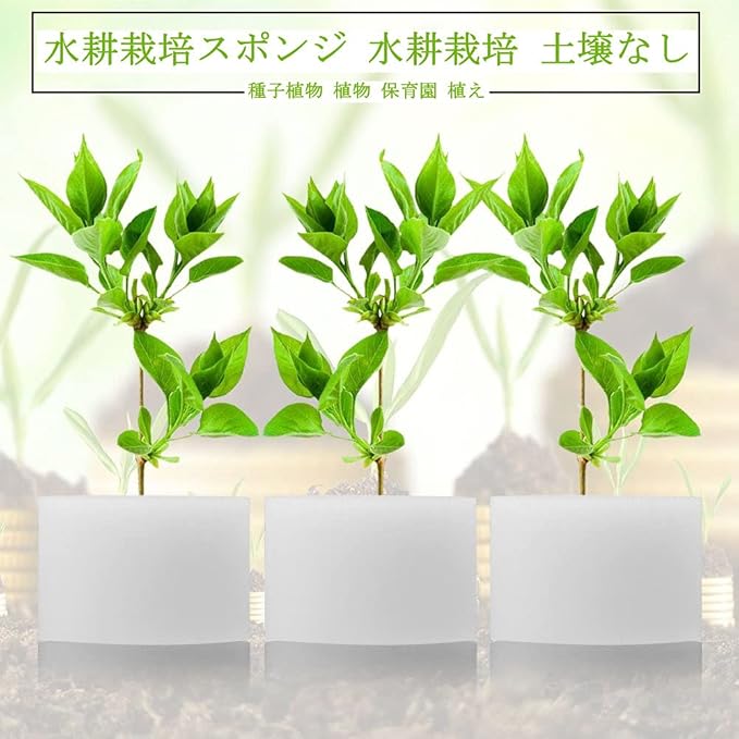 Amazon 水耕栽培スポンジ スポンジ培地 水耕栽培 土壌なし 種子植物 植物 保育園 植え スポンジ 除草ツール ソアレス50pcs セット 44 30mm 農業 園芸用資材 Amazon 水耕栽培スポンジ スポンジ培地 水耕栽培 土壌なし 種子植物 植物 保育園 植え スポンジ 除草ツール ソアレス50pcs セット 44 30mm 農業 園芸用資材