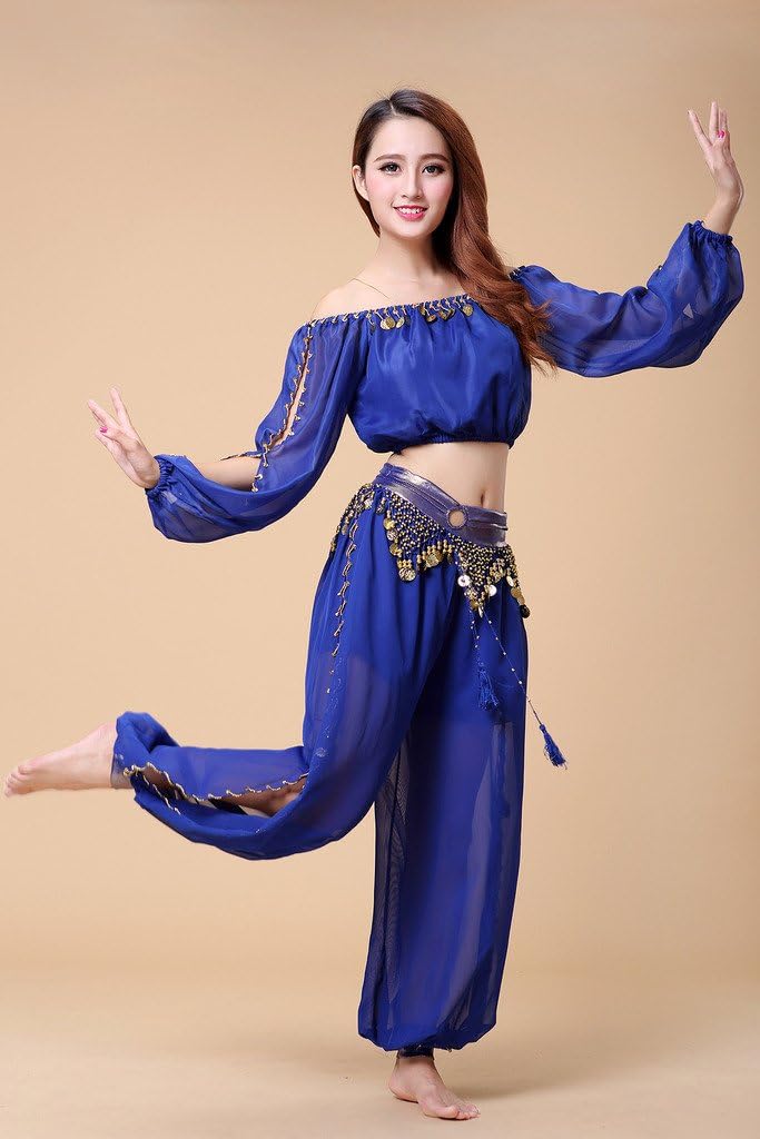 Belly Dance Chiffon Long Sleeves Top and Lantern Coins Pants Black, One Size - Image 4
