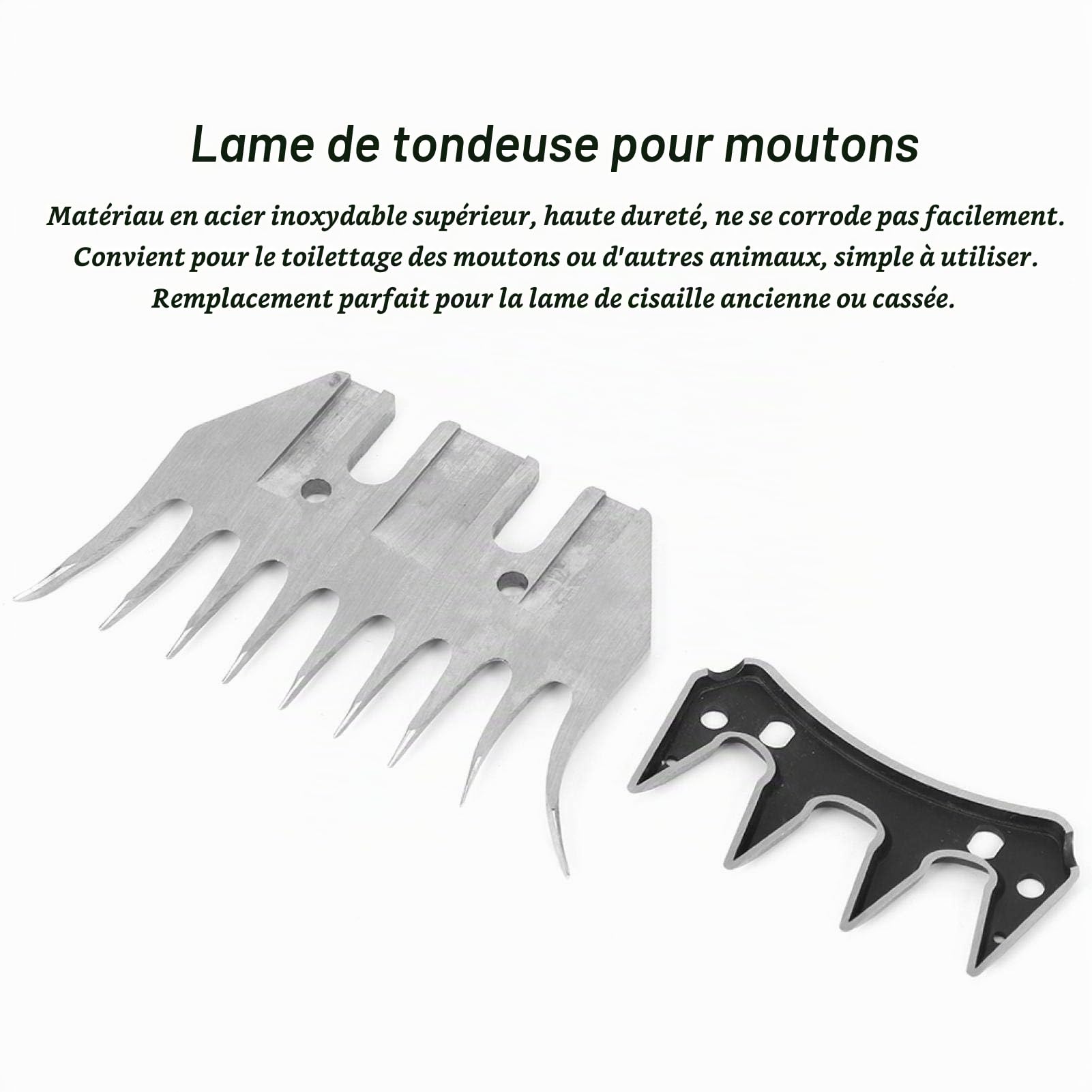 Lames Tondeuse À Moutons Acier Inoxydable, 9 Dents Lot 2 Pièces | Peigne De Rechange À Forme Courbée, Installation Facile, Adapté Moutons Chèvres Alpagas 9-Tooth Curved Blade + Swing Blade